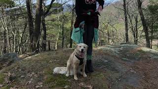 Lake George Hikes