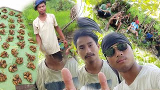 ###photai official (video) in jungle with colony !!!!!