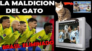 LA MALDICION del GATO ELIMINO a BRASIL  TREMENDOS MEMES Y BURLAS por SU DERROTA en COPA AMERICA