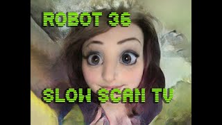 0081 Toonify SSTV Robot36