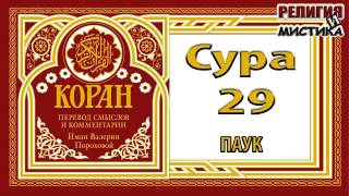 Коран - Сура 29 Паук - перевод В. Прохоровой - Аудиокнига