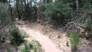 Cypresswood Trails wipeout