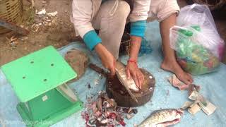 Fish for sale, Fish selling market, Selling fish, People selling fish in Stung Treng Cambodia