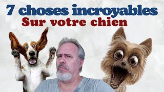 7 CHOSES INCROYABLES SUR VOTRE CHIEN