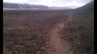 2012-06-28 Katmai N.P. - VTTS - Along trail at north end of Buttress Range