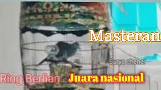 Masteran Perkutut Bangkok Gacor || Pancingan Agar Berbunyi