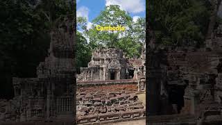 Prehs khan temple built in twelve centuries. #walkthroughcambodia #youtubeshorts #temple #travel