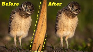 Avoid these 3 Lightroom Remove Object Mistakes!