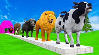 Paint & Animals Duck,Gorilla,Lion,Elephant,Cow,Sheep Fountain Crossing Transformation Animal Cartoon