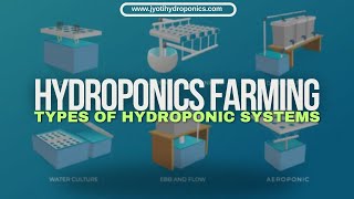 4. Hydroponics Types(Jyoti Hydroponics Farm)