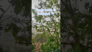 Barish Ho hi gayi Banglore me🌧️😲 #barish #weather #bangalore #rain #vlog #nature #shorts #shortsfeed