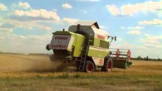 2011 - Árpa aratás - Claas_Dominator_108_VX and Belarus 1025.3