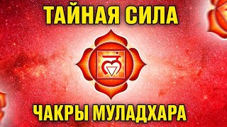 Разблокируй БЕЗГРАНИЧНУЮ ЭНЕРГИЮ и ЗДОРОВЬЕ / ЧАКРА МУЛАДХАРА