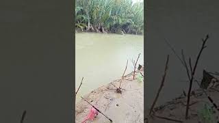 Hujan Hujan Mancing disungai