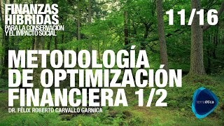 Metodología para la optimización financiera 1/2 para Finanzas Híbridas