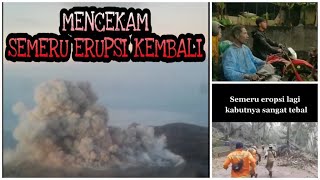 MENCEKAM! Gunung Semeru Erupsi Lagi, Relawan dan Warga Lumajang Panik dan Berlarian