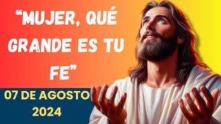 Evangelio de Hoy Miércoles 07 de Agosto de 2024 | REFLEXIÓN ORACION| Católica| BIBLIA | San Mateo