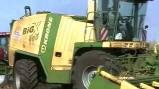 MAISERNTE Corn Harvest