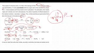 haloalkane 3