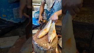 Amazing Poa Fish Cutting Skills In Bangladesh Fish Market By Expert Cutter #shorts