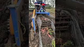 Automatic sweet potato planting machine