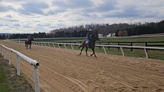 Divine Works and Weekend Wife returned to training this week and jog a lap.