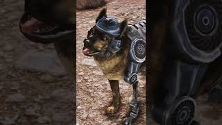 #Dogmeat was a lot less organic in #NewVegas... #videogames #fallout