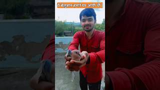 helping video | bezubaan #viral #yt #rescuebirds #help #words #sparrow