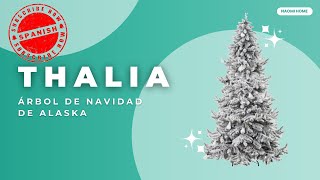 Trucos De Decoración Navideña Que Debes Probar: Naomi Home | Thalia Árbol De Navidad Estilo Alaska