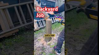 Amazing tool👍 #shortvideo #subscribe #viral #chainsaw #shorts #short @maryannebugay