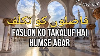 Faslon Ko Takalluf Hai Humse Agar | فاصلوں کو تکلّف ہے ہم سے اگر | Slowed + Reverb | Beautiful Naat