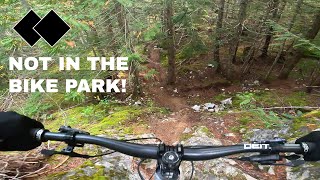 Bingo Wings to Bush Doctor - Whistler West Side Trails