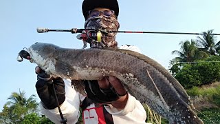 Casting Haruan@Gabus Saiz Idaman|Ultralight Fishing