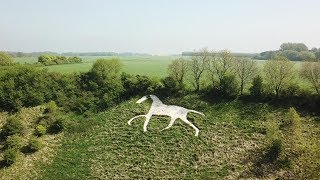 Broad Town White Horse