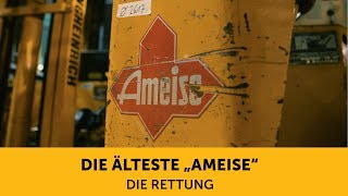 Die älteste Ameise (4) – Die Rettung