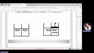 Physiol 7/08