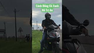 CÁNH ĐỒNG CỎ XANH VEN HỒ THỦY ĐIỆN TRỊ AN