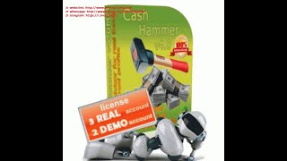 Automated expert advisor for forex Cash Hammer v2