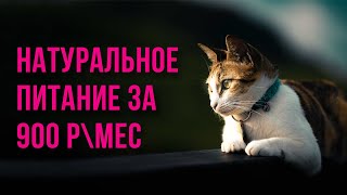 Корм для кошек с мочекаменной болезнью\Натуральное питание для кошек\ Корм для кошек с МКБ\