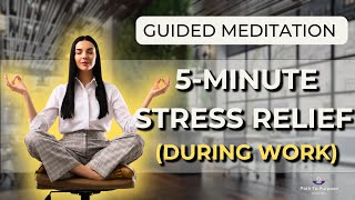 STOP EVERYTHING! (5-Minute Stress Relief Meditation)