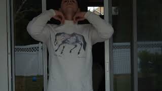 Horse Shirt