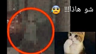 اشياء مخبية في صور😨❗❗