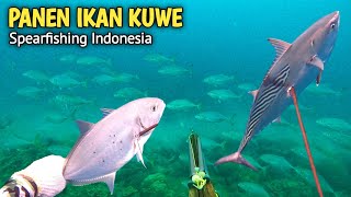 MERINDING, Ketemu Gerombolan Ikan kuwe dan ikan Tongkol / Tuna❗️ Spearfishing Indonesia | Eps. 11