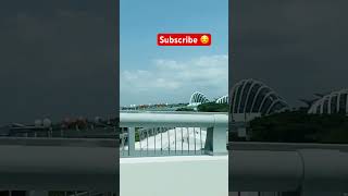 Driving past the beautiful Marina Bay in Singapore 🤩🤩