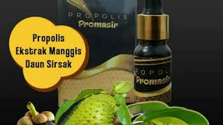 Propolis promasir asli - Propolis Promasir Ampuh 082338106800