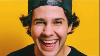 David Dobrik's TikTok Part 4