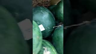 DIFFERENT VARIETIES OF WATERMELON #shorts #shortsvideo #shortvideo #short