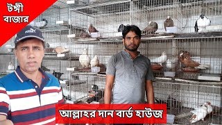 আল্লাহর দান বাৰ্ড হাউজ | Md Kamal Hossain | tongi bazar | টঙ্গী বাজার কবুতরের হাট | কম দামে কবুতর