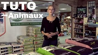 Quelle bonne alimentation pour son chien ? - Les Tutos, Pêche, chasse, nos animaux