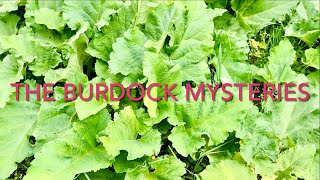 The Burdock Mysteries 😉